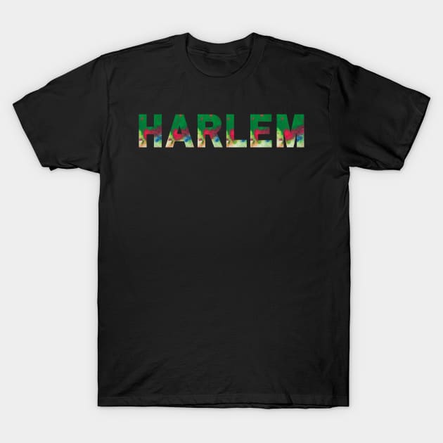 Harlem Texted Based | Colorful Abstract Paint Design T-Shirt by Harlems Gee